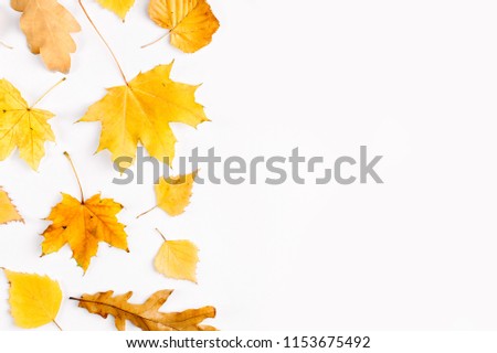 Autumn composition. Pattern made of autumn  leaves. Flat lay, top view, copy space