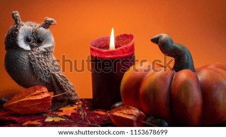 halloween autumn decoration with pumpkin, cute owl and red candle on leaves orange background