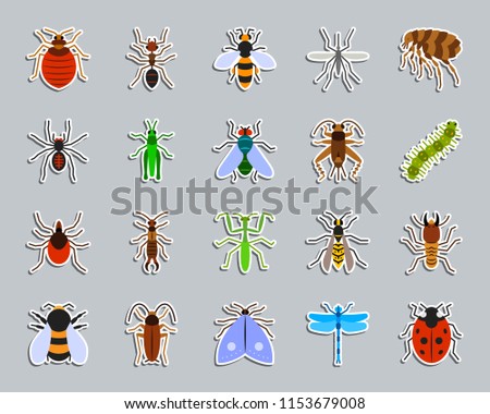Danger Insect sticker icons set. Web flat sign kit of bed bug. Beetle pictograms includes termite, mole, bedbug. Simple danger insect symbol. Colorful icon for patch, badge, pin. Vector Illustration