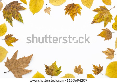 Colorfull autumn flat lay composition. Horisontal frame dry colorful leaves isolated on white background, copy space, top view.