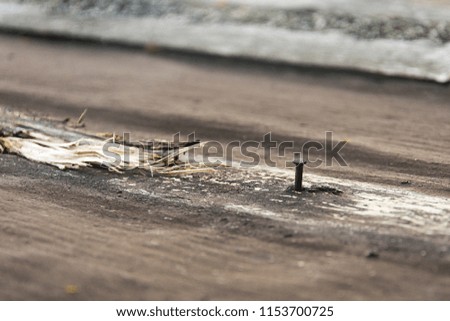rusty nail in the board. The concept of repair of the roof or dilapidated buildings.