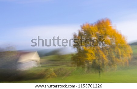 Abstract intentional motion blured photo of trees and buildings and vegetation during late summer sunset