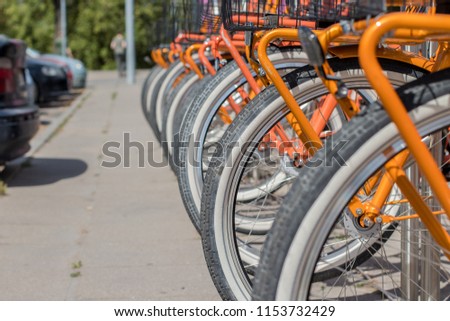bicycles stand in a row