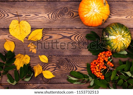 Top view of Autumn mini-pumpkins and ashberry and fallen leaves on a wooden background. Happy Thanksgiving and Harvest Day.