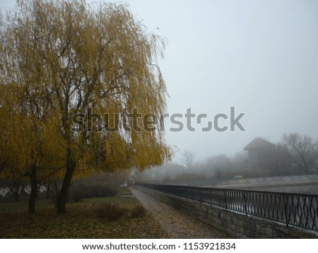 Cloudy foggy autumn. Trees with yellow leaves, pond. The beauty of nature in any weather