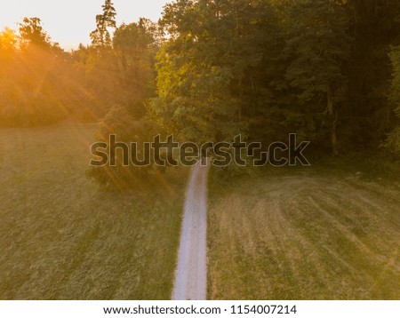 Aerial view of path leading in forest during sunset with sun rays across image. Forest scene in Switzerland, Europe.