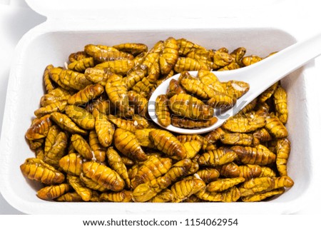 Fried silkworm's pupa in White Foam Box for Sale