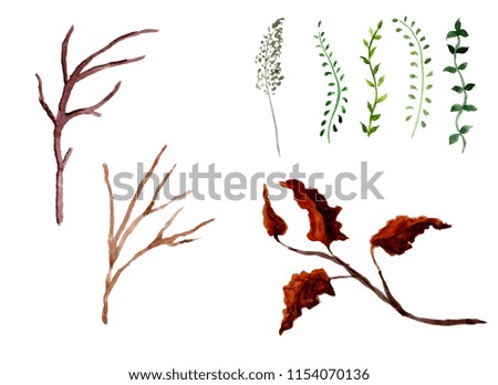 watercolor floral decorative elements with grass and twigs