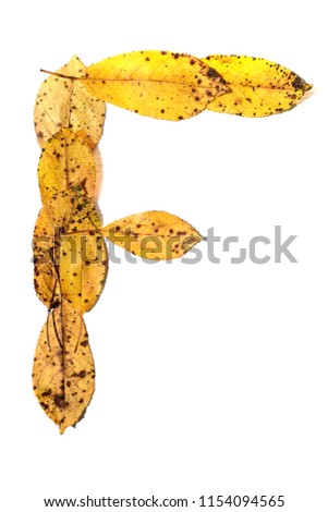 Letter F composed of autumn leaves on white background