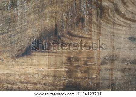 Textures and patterns of wood panels