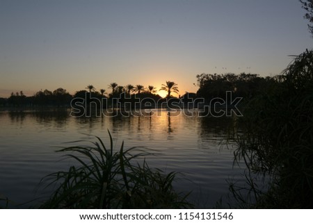 Ramat Gan National Park: Park Leumi Tel Aviv Ramat Gan evening. Royalty-Free Stock Photo #1154131546