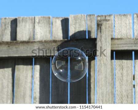 A shiny soap bubble in motion, floating in front of an old wooden fence in a backyard in Brisbane, Australia. 