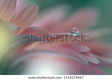 Beautiful Pink Nature Background.Macro Shot of Magic Flowers.Creative Floral Art Design.Magic Light.Extreme Close up Photography.Conceptual Abstract Image.Artistic Natural Wallpaper.Green Color.Plant.