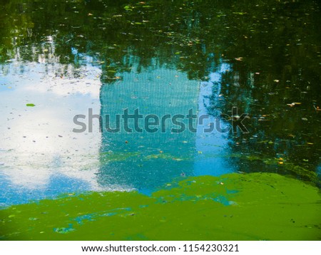 Abstract green water surface background. Skyscaper reflection in water. Overgrown pond closeup photo. Boat travel banner template. Lakeside view in city park. Spring or summer relaxing photo. 