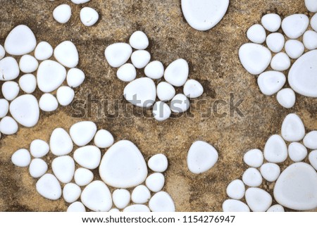 The White ground stones texture