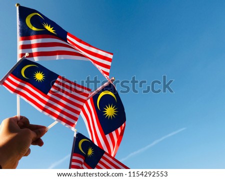 Malaysia Flag as background / The Malaysian National Flag consists of fourteen red and white stripes of equal width and a blue canton bearing a crescent and a 14 point star