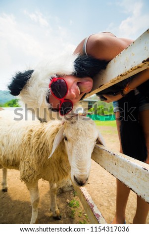 funny girl in sunglasses and fluffy hat, shows tongue, taking pictures near sheep ,