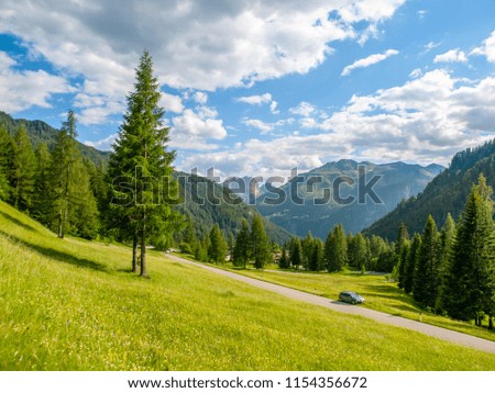 Landscape of Dolomites with green meadows, coniferous trees, blue sky, white clouds and rocky mountains.