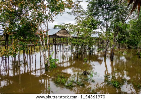 Amazing view of Animal rescue centre in the jungle of Iquitos, Peru.