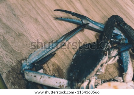 Fresh raw sea flower crab close-up photo.