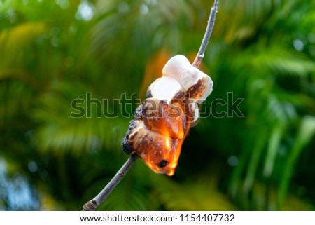 Burning marshmallows on a stick