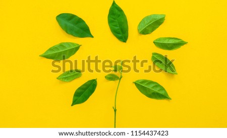 Leaf symbol copyspace on yellow background.Creative concept