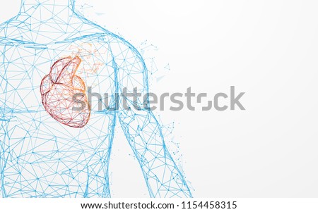 Human heart anatomy form lines and triangles, point connecting network on blue background. Illustration vector Royalty-Free Stock Photo #1154458315