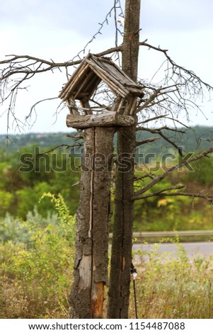 An old wooden branch made of bird feeders on a withered tree. Mystical picture of a terrible fairy tale - an old terrible wooden bird's feeding trough