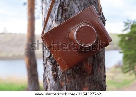 On the trunk of a pine hanging film camera in a leather brown case, the backdrop of the forest