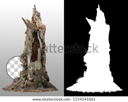 Old tree trunk with a hole isolated on transparent background via an alpha channel of great precision. High quality mask without unwanted edge. High resolution for professional digital composition