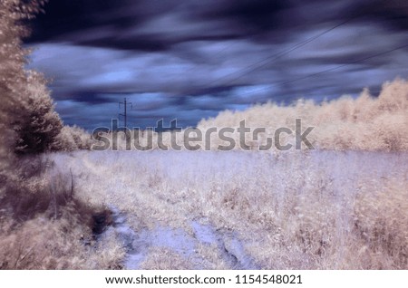The road and power line go through the field into the forest. Infrared photography