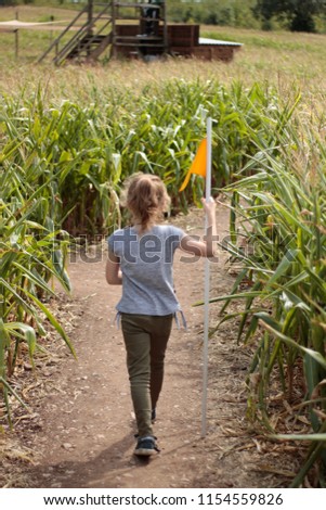 A blond girl aged 5-9 years old, holding a signal flag in the hand is looking for a hint in a maze on a corn field to solve a riddle.