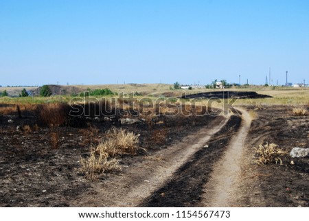 Landscape with steppe after the fire, scorched earth, ground road
