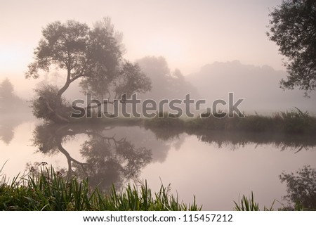 Landscape view across foggy river at sunrise