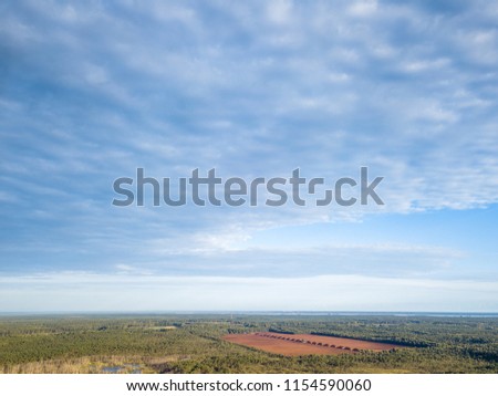 Drone Photo of Colorful Moorland in Early Summer Sunrise with Clouds Over the Trees
