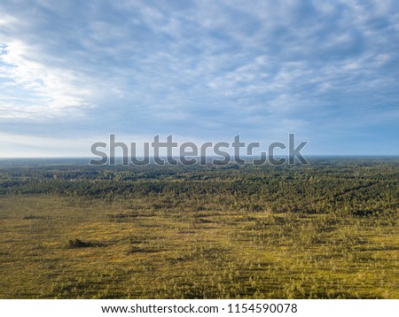 Drone Photo of Colorful Moorland in Early Summer Sunrise with Clouds Over the Trees with Sun Flare