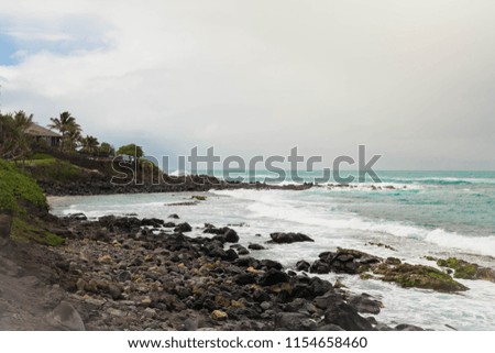 Maui shore beach hawaii