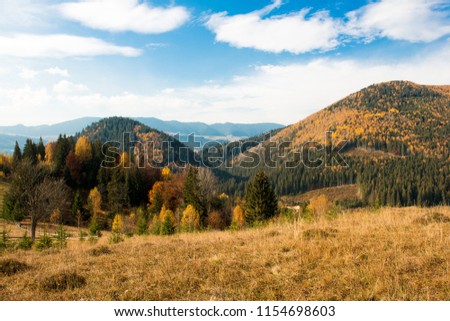 beautiful autumn landscape in the mountains