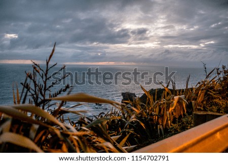 Ocean, plants and cloudy sky