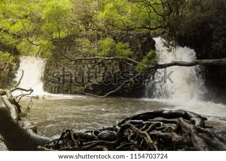 maui waterfall in jungle