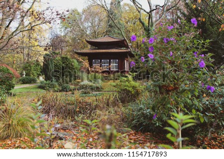Scenic autumnal landscape with Japanese house. Beautiful autumn golden foliage and purple flowers. Soft focus. 