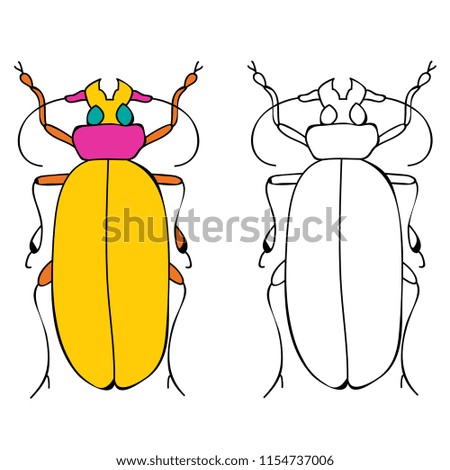 book coloring, beetle, child