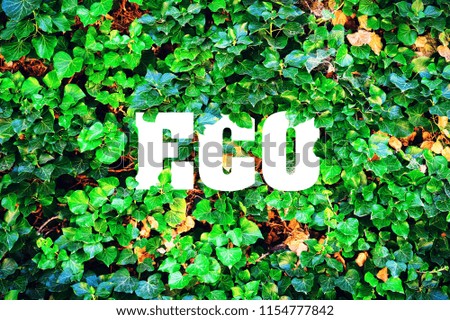 Inscription, Eco on a background of green leaves. The concept of pure nature. Fighting pollution.