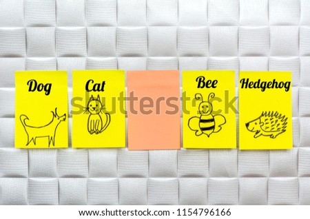 Learn English Language  Education Concept with Painted Animals on a Sticky Notes.English for Kids 