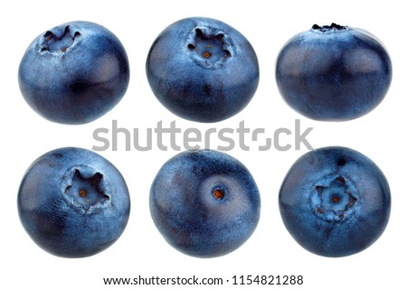 Blueberry berries isolated on white background. Collection. Royalty-Free Stock Photo #1154821288