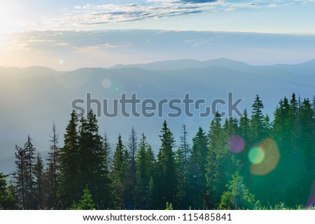 Emerald morning Carpathian Mountains
