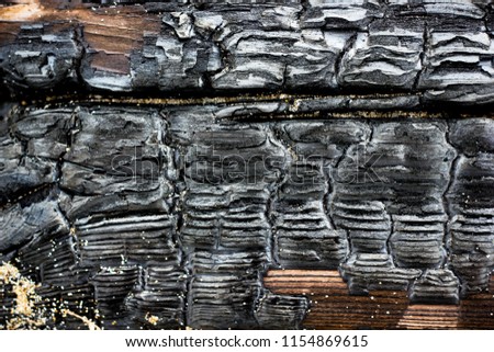 Close up picture of burned wood coal. Black and gray burn pine and carbon texture, concept of energy, expiration, history, ages