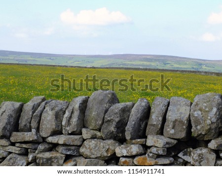 scenic view of a traditional dry stone wall in front of a spring meadow with yellow spring flowers with yorkshire pennine hills in the background with blue sky and clouds