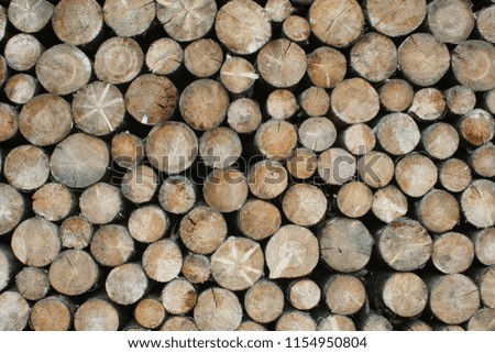 Pile of wood, wooden 