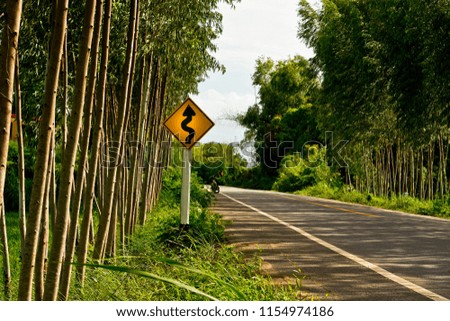Traffic signs are yellow, black, warned, paths are narrow, winding and there are trees on both sides.
